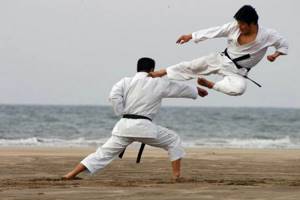 karate fighters