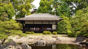chaniwa tea garden