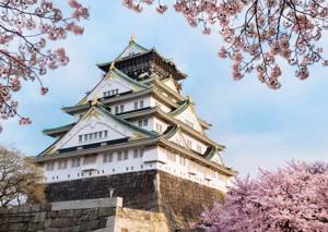Достопримечательности Японии - замок Осака