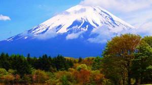 Fuji. Author24 - online exchange of student work 