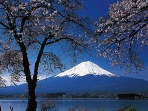 Fuji in the spring