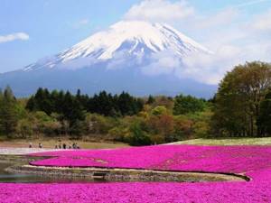 Mount Fuji in Japan photo