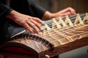 Playing the Japanese Zither