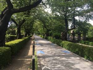 cemetery-Aoyama-japan-44.JPG