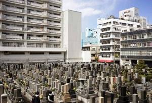 cemetery in Tokyo