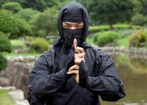 Mill of Misconceptions: Myths and Truths about Ninjas