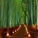Необычные природные достопримечательности Японии