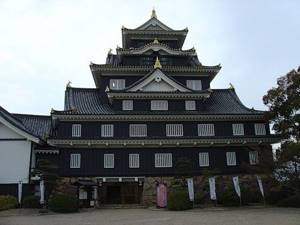 Okayama castle photo