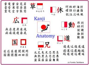 radicals of Japanese characters