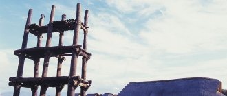 Реконструкция огромной деревянной постройки в преф. Аомори (предоставлено Центром исторического памятника Саннай-Маруяма)