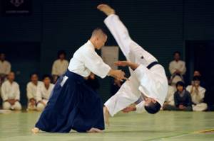 Aikido competition