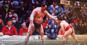 sumo wrestlers 1