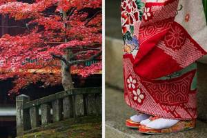 traditions and customs of japan