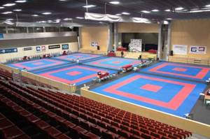 Choosing tatami for judo: sizes, materials and other characteristics of the flooring