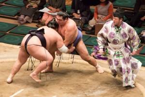 Japanese sumo wrestlers