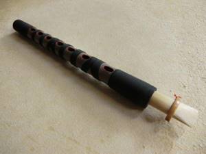 японский щипковый музыкальный инструмент