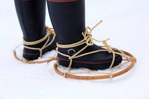 Replacement snowshoes